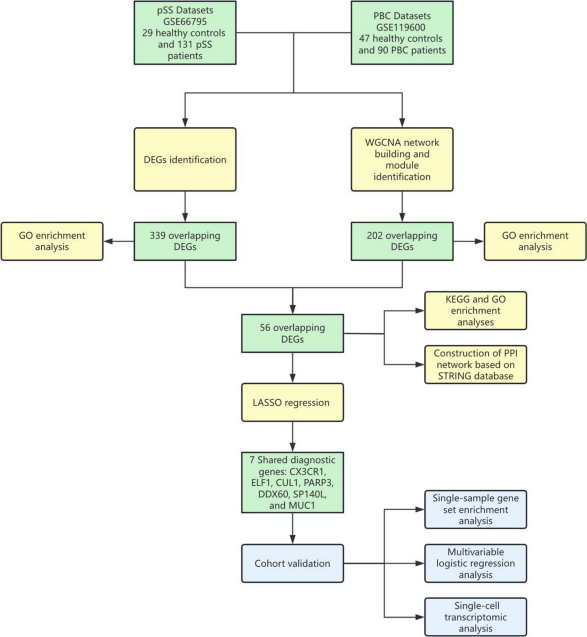 Identification of Crosstalk Genes Between Primary Sjögren’s Syndrome and Primary Biliary Cirrhosis by Transcriptome Analysis