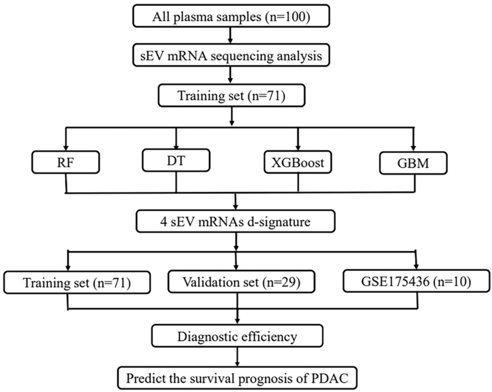 Using Machine Learning Methods to Develop Diagnostic and Prognostic mRNA Signatures for Pancreatic Cancer in Plasma Small Extracellular Vesicles
