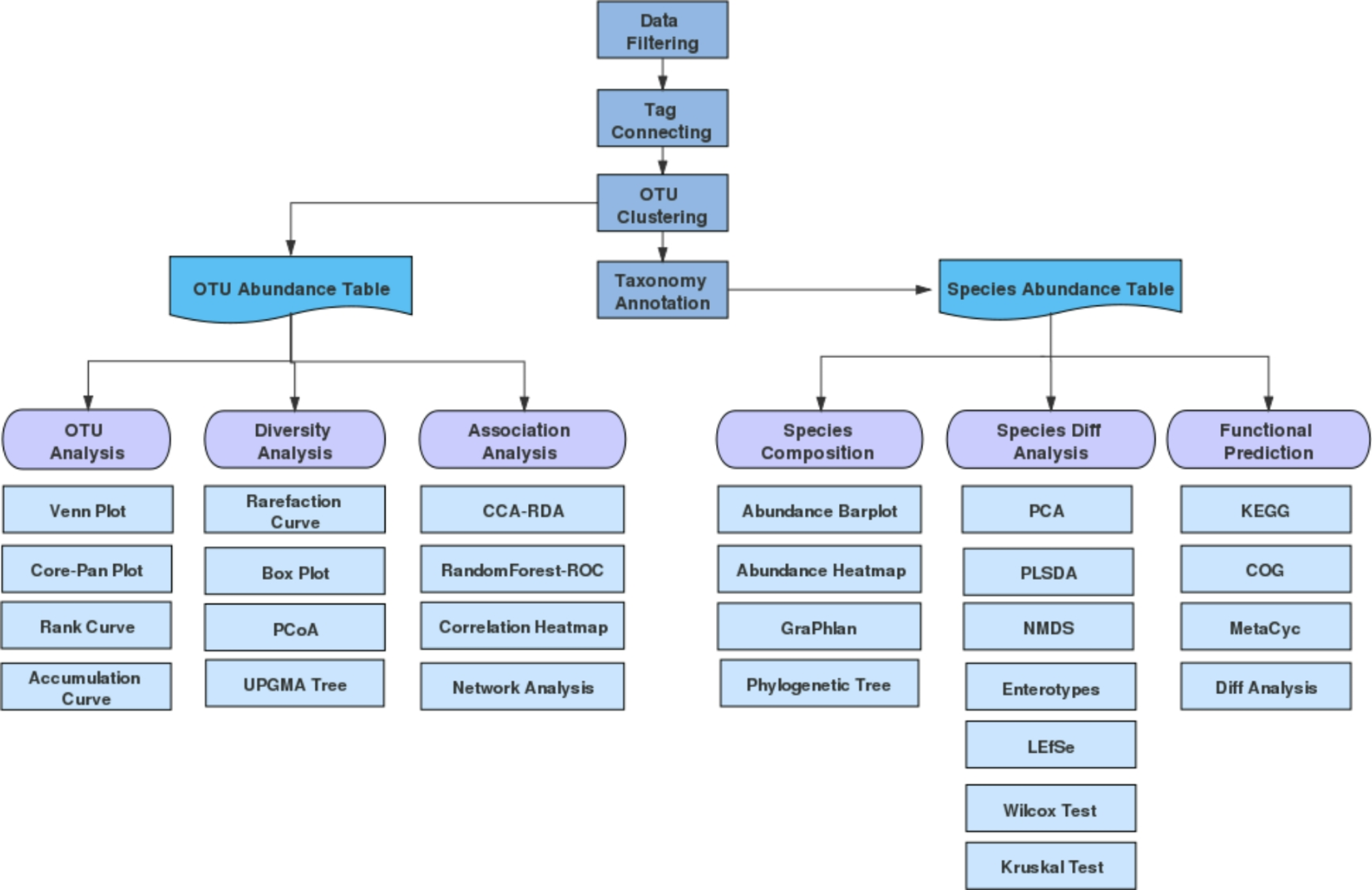 Exploring the microorganisms biodiversity associated with sponge species in the red sea through 18S ribosomal RNA gene sequencing