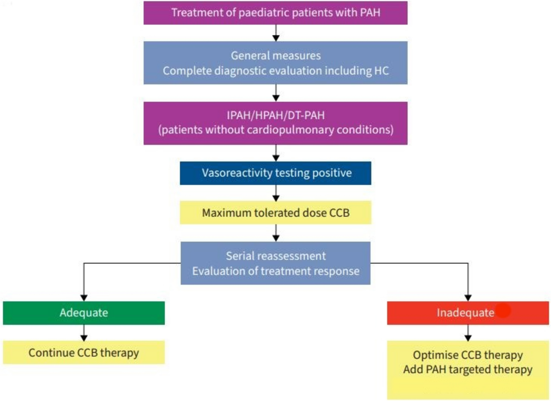 Pulmonary hypertension in pediatrics: from clinical suspicion to management
