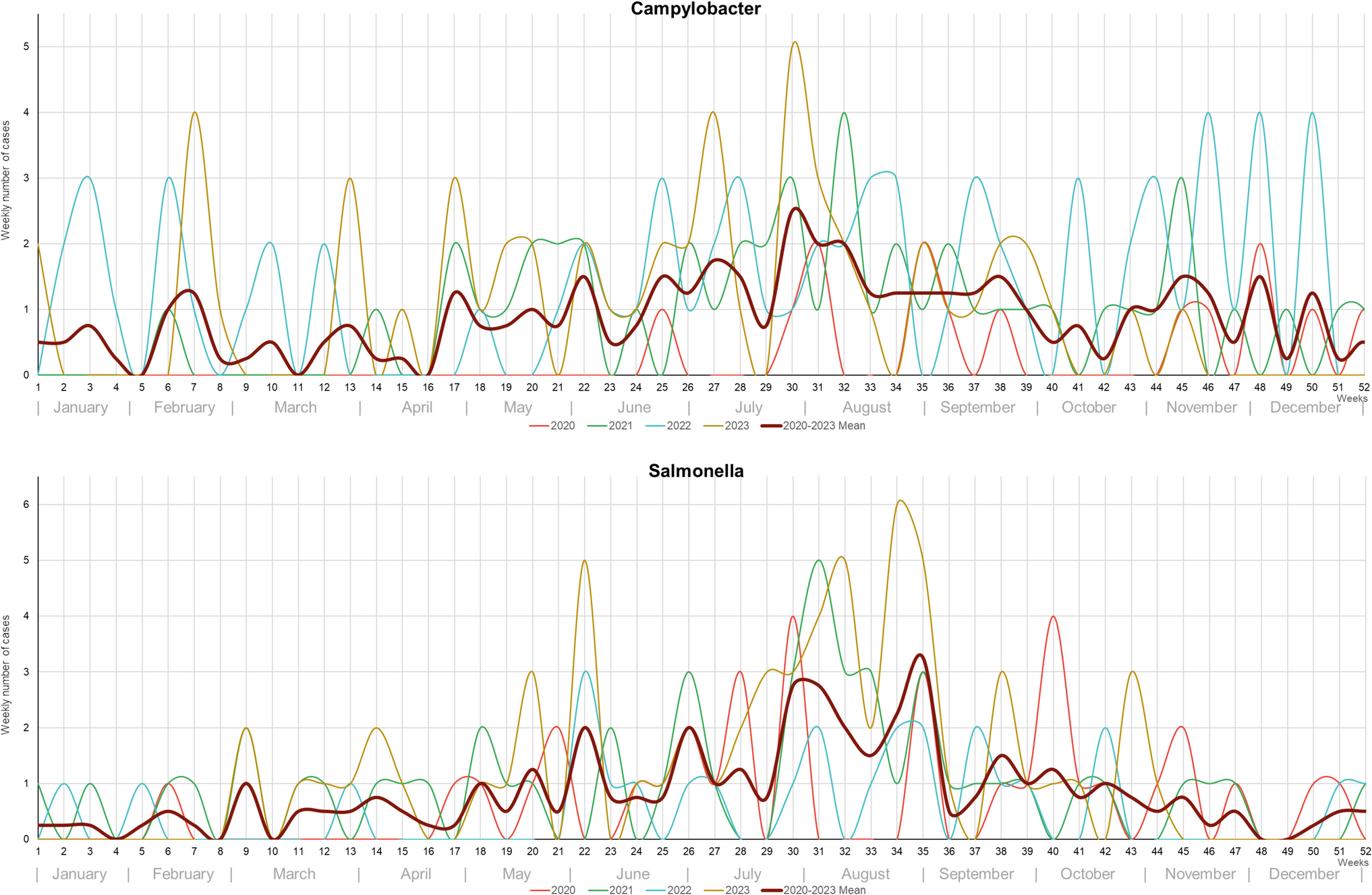 Campylobacter and Salmonella infections in children hospitalized with gastroenteritis in Northeastern Poland, 2020–2023