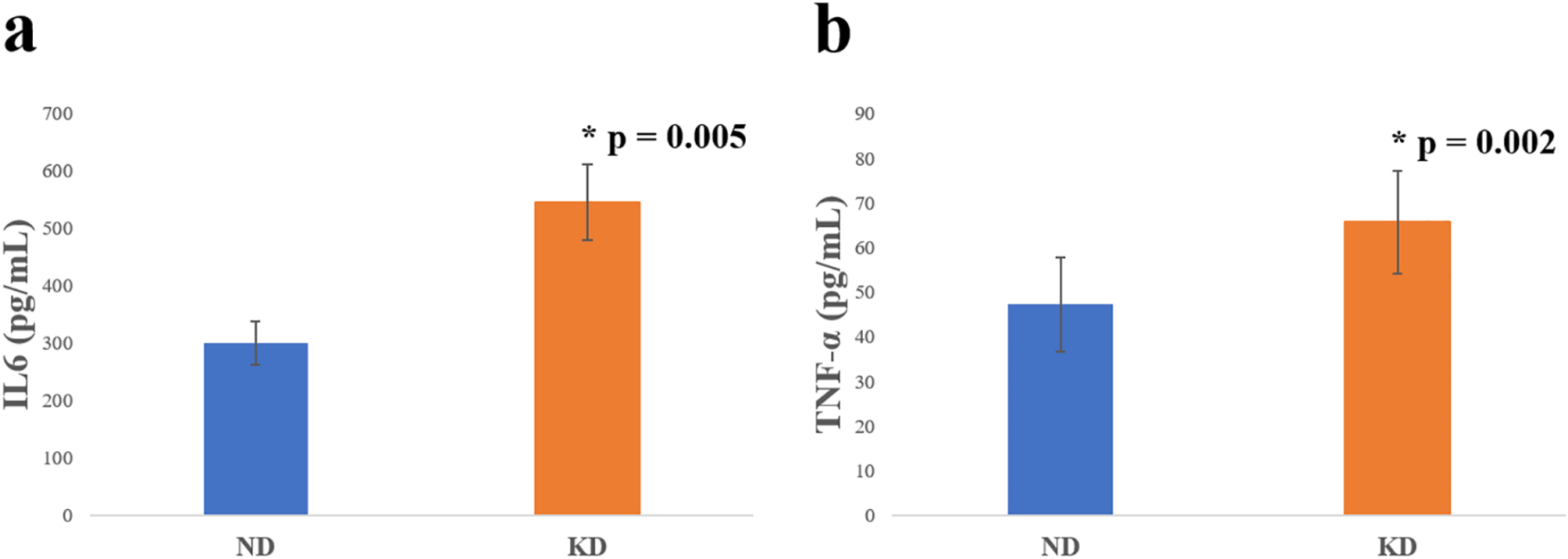 Hepatic toll of keto: unveiling the inflammatory and structural consequences of ketogenic diet in rats