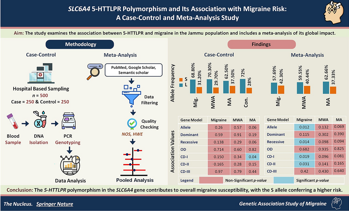 5-HTTLPR polymorphism and its association with migraine risk: a case–control and meta-analysis study