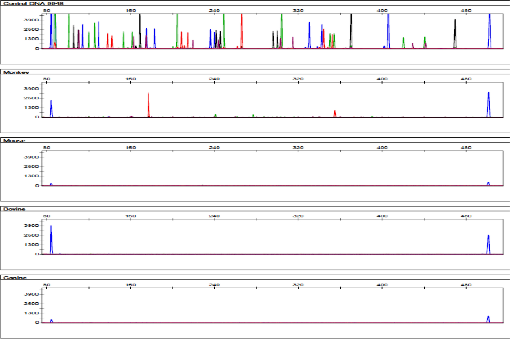 Developmental validation of the Ingenomics™ AutoProfiler STR system: a 6-dye STR multiplex kit for forensic DNA applications