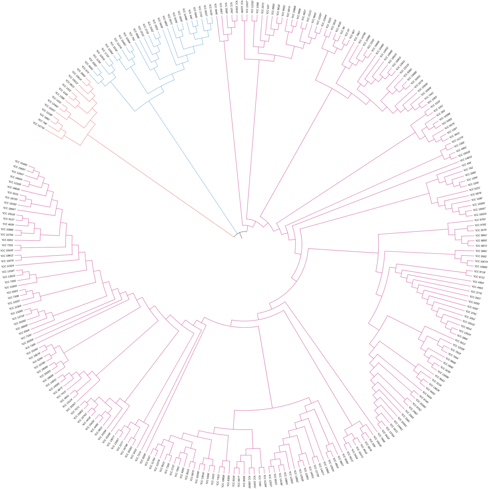 Genome-wide association analysis using multi model approach identified novel associations for plant architectural traits in chickpea germplasm collection