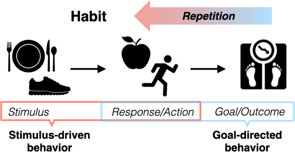 Exploring Habits in Anorexia Nervosa: Promise, Pitfalls, and Progress