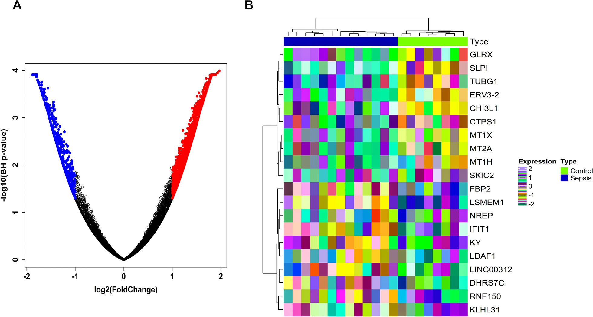 Unraveling the roles of BMS1, ZNF749 and miR-6726-5p in MODS progression via integrated multiomics and ML-based approach