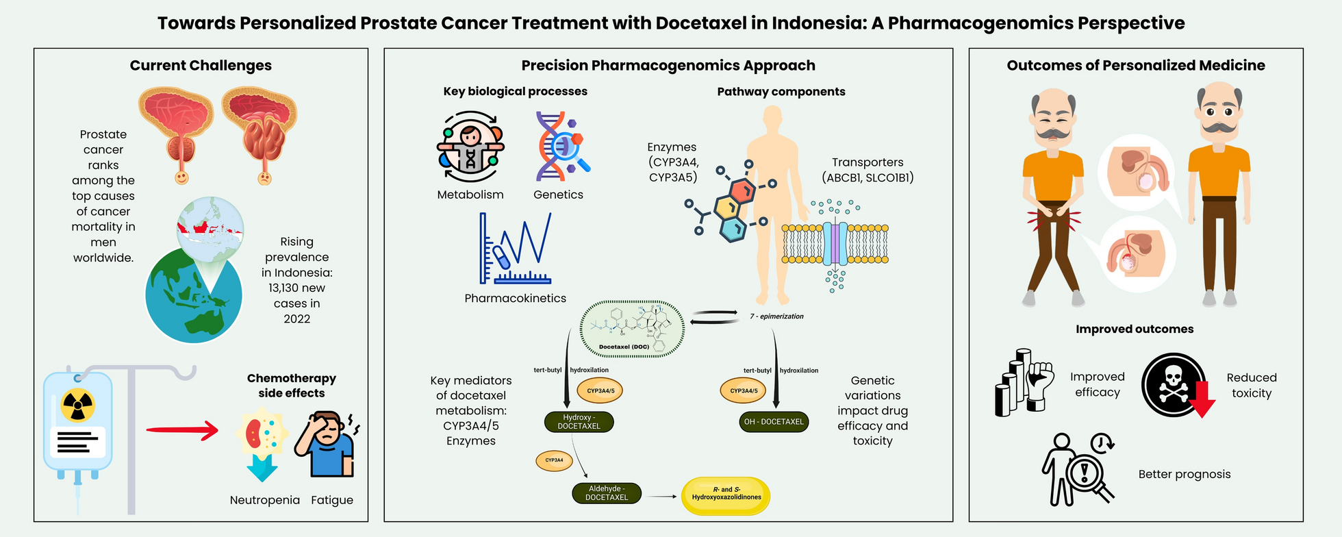 Towards personalized prostate cancer treatment with docetaxel in indonesia: a pharmacogenomics perspective
