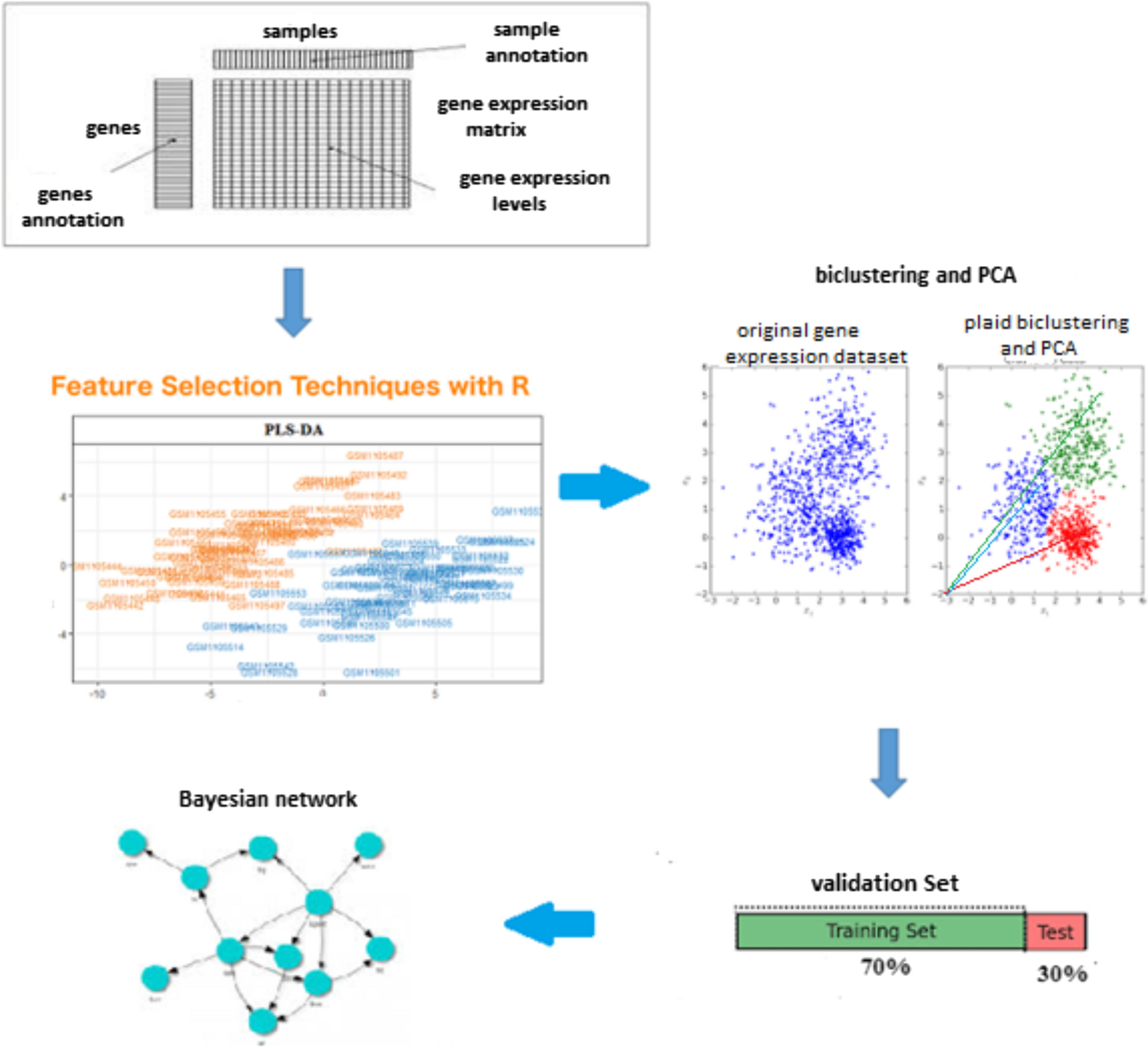 Classification of patients with lithium-treated bipolar disorder based on gene expression: Dirichlet Bayesian network model