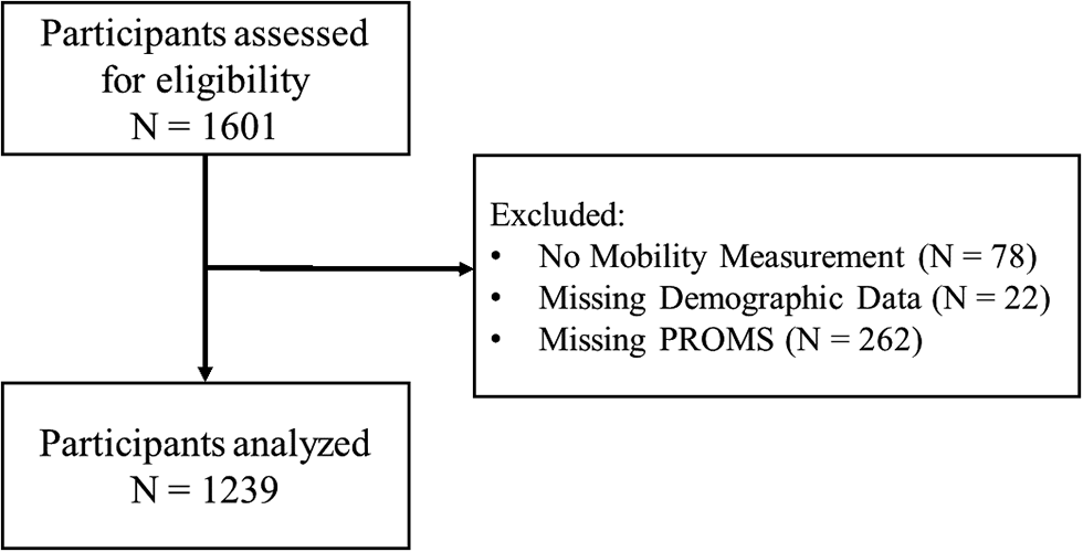 The role of spinal and hip mobility in disability among patients with chronic low back pain