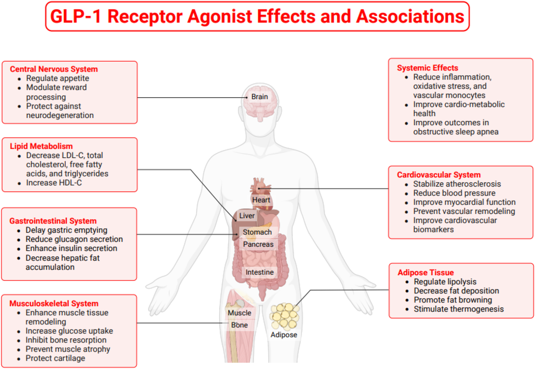 The Role of GLP-1RA Medications in Medical Weight Loss and the Positive Impacts on Lipid Management