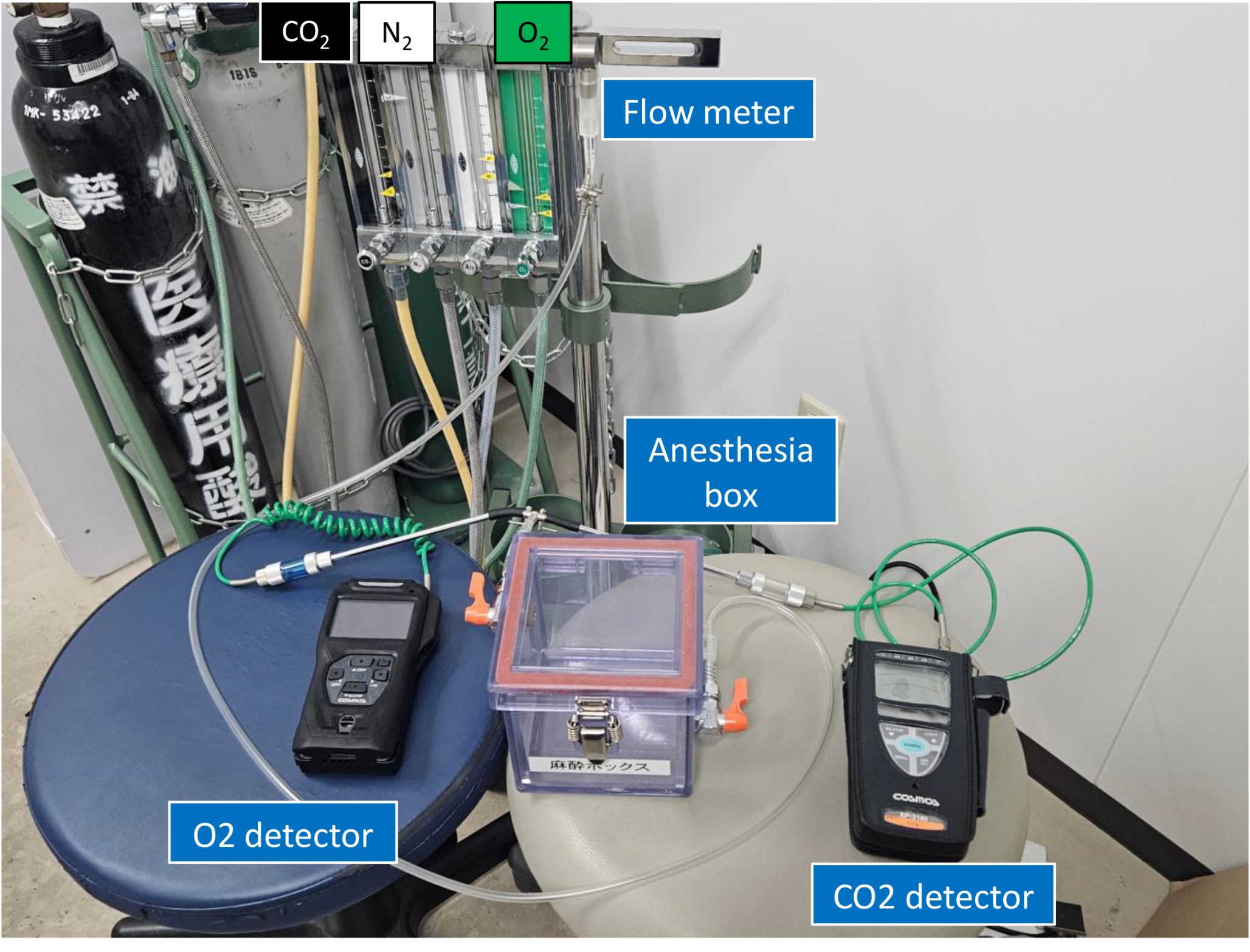 New molecular markers to differentiate carbon dioxide intoxication from asphyxia due to oxygen deficiency
