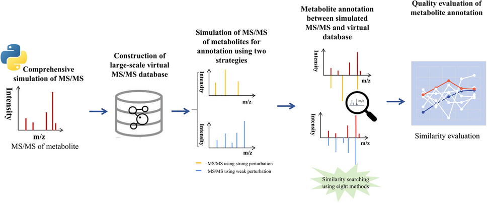 Quality evaluation of metabolite annotation based on comprehensive simulation of MS/MS data from high-resolution mass spectrometry (HRMS) and similarity scoring