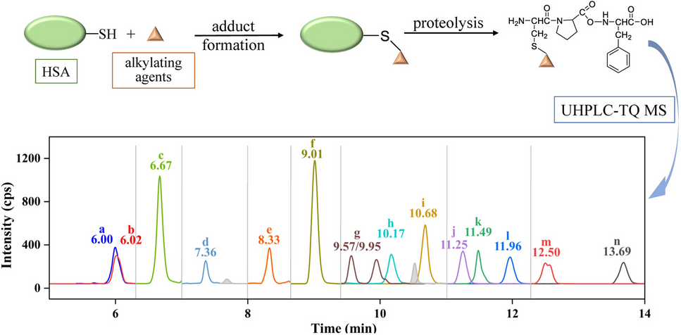 A sensitive method for simultaneous screening exposure to 14 alkylating agents based on tripeptide adducts: an efficient approach for chemical weapon verification and chemical impurity profiling in plasma samples