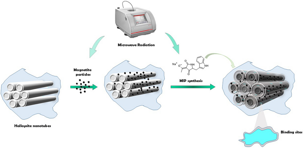 Determination of cyclopiazonic acid in food samples by using molecularly imprinted polymers based on magnetic halloysite nanotubes