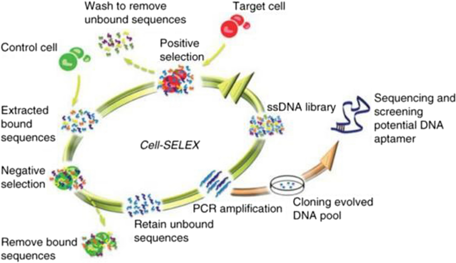 Aptamer-based microfluidics for the detection of cancer biomarkers