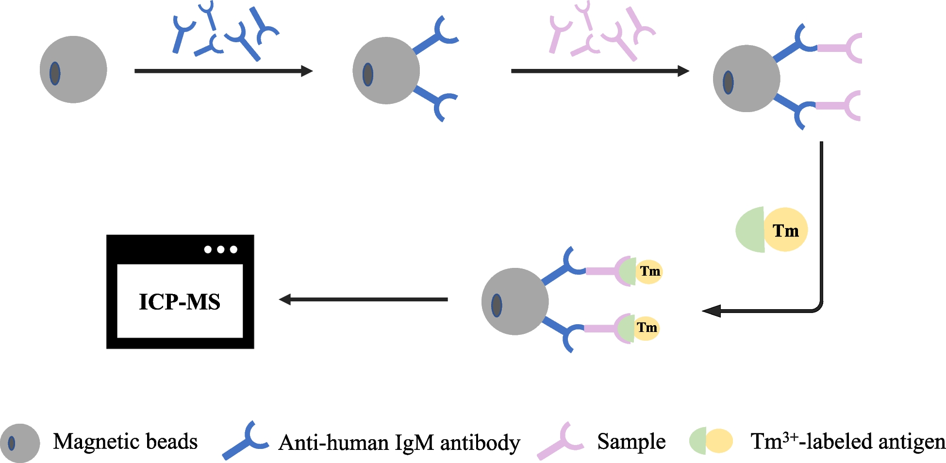 Quantitative detection of rubella virus IgM antibodies using inductively coupled plasma mass spectrometry with elemental labeling: a new clinical application of mass spectrometry
