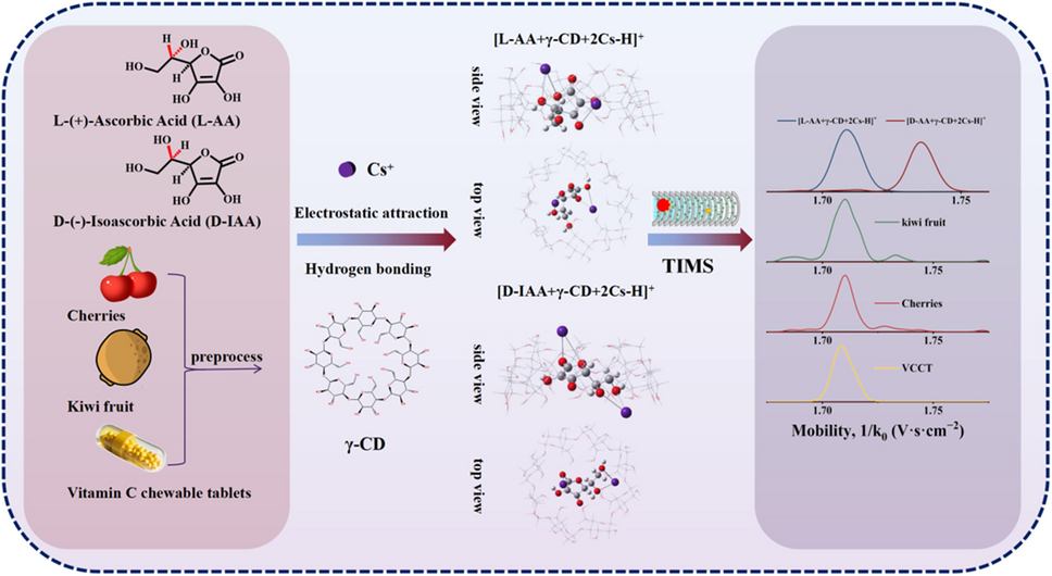 Identification and characterization of chiral vitamin C using ion mobility and theoretical calculation