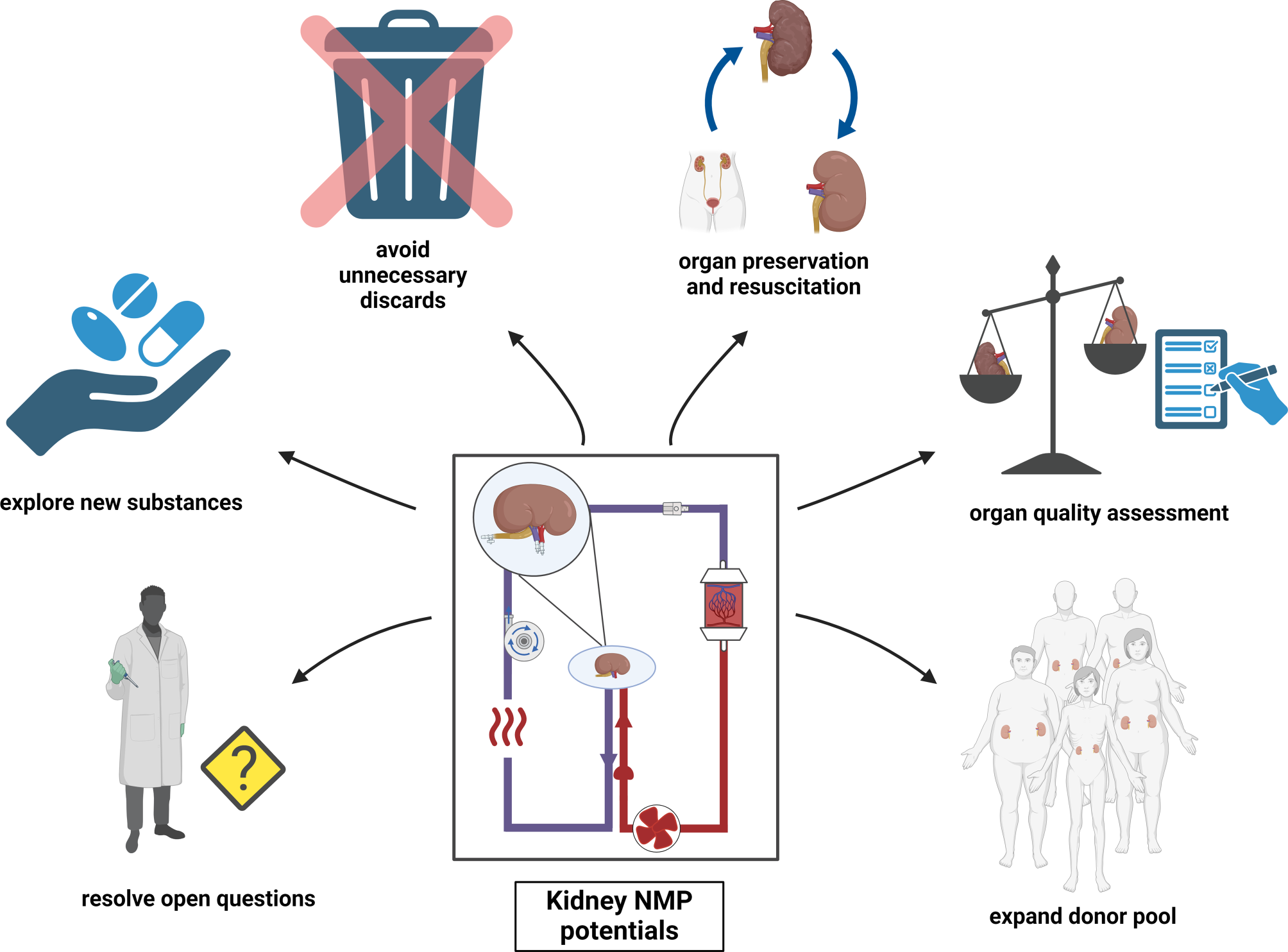 Normothermic Machine Perfusion of Kidney Grafts: Devices, Endpoints, and Clinical Implementation