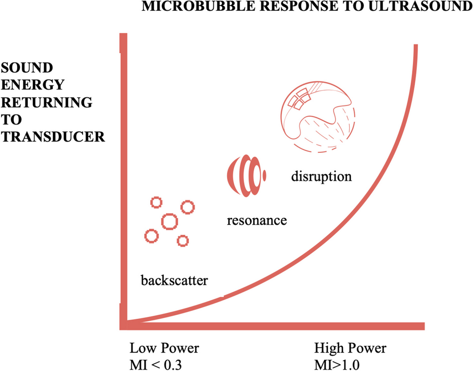 Review of Ultrasound Enhancing Agents in Echocardiography for Better Diagnostic Accuracy