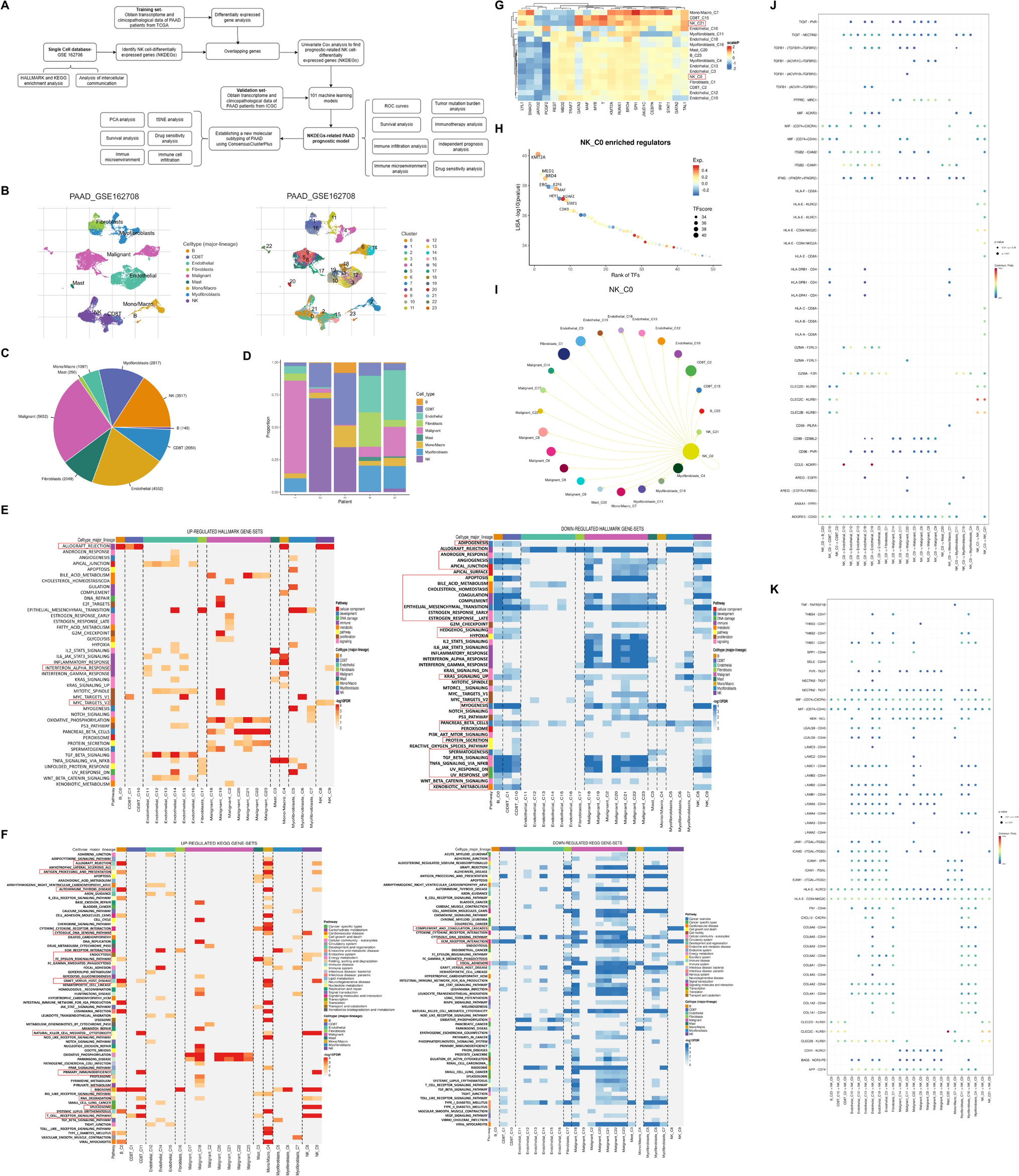 Machine learning-based prognostic modelling of NK cells in PAAD for immunotherapy guidance
