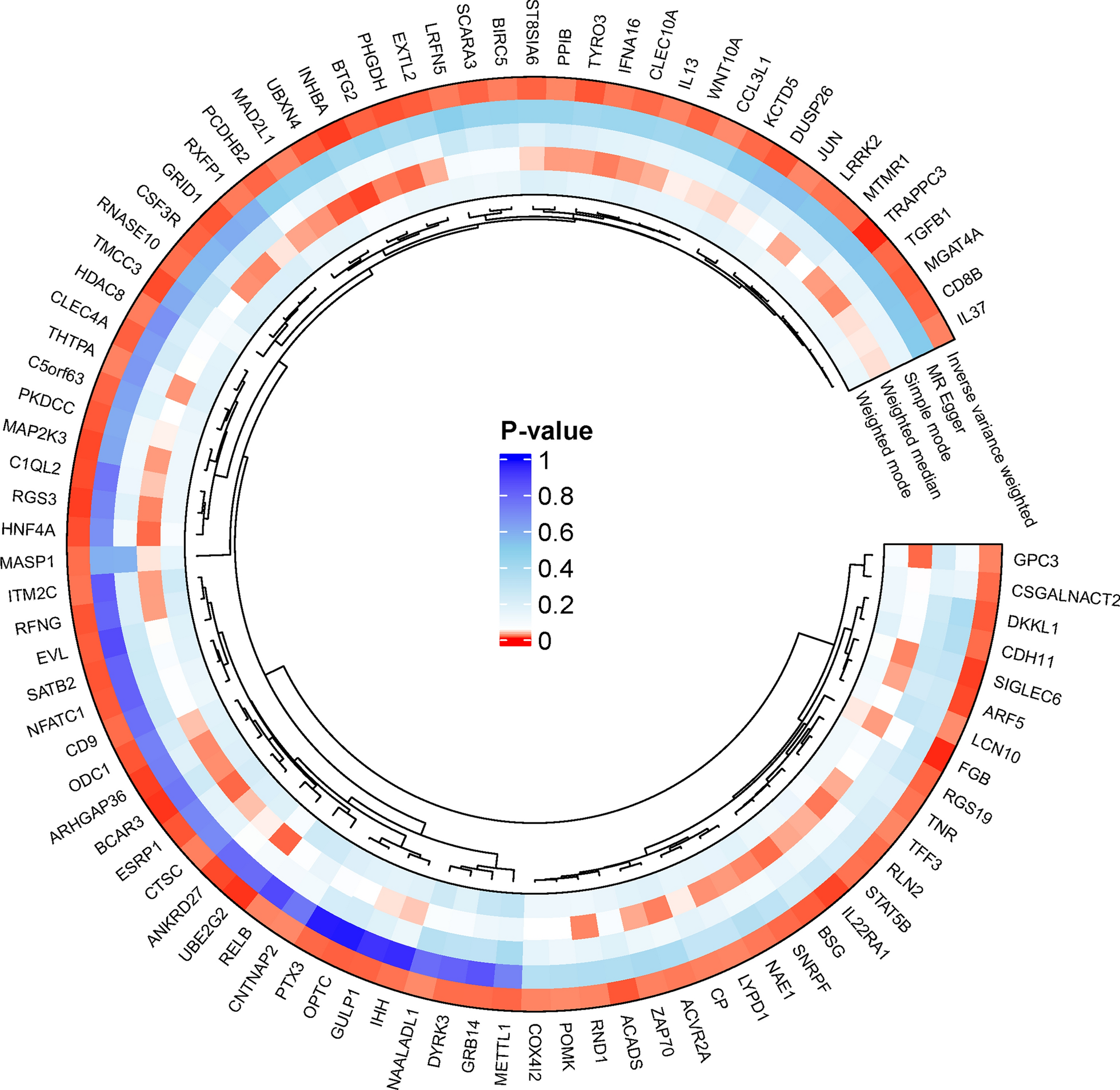 Plasma protein levels and hepatocellular carcinoma: a Mendelian randomization study with drug screening implications