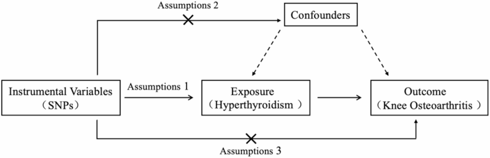 Genetic evidence links hyperthyroidism to knee osteoarthritis