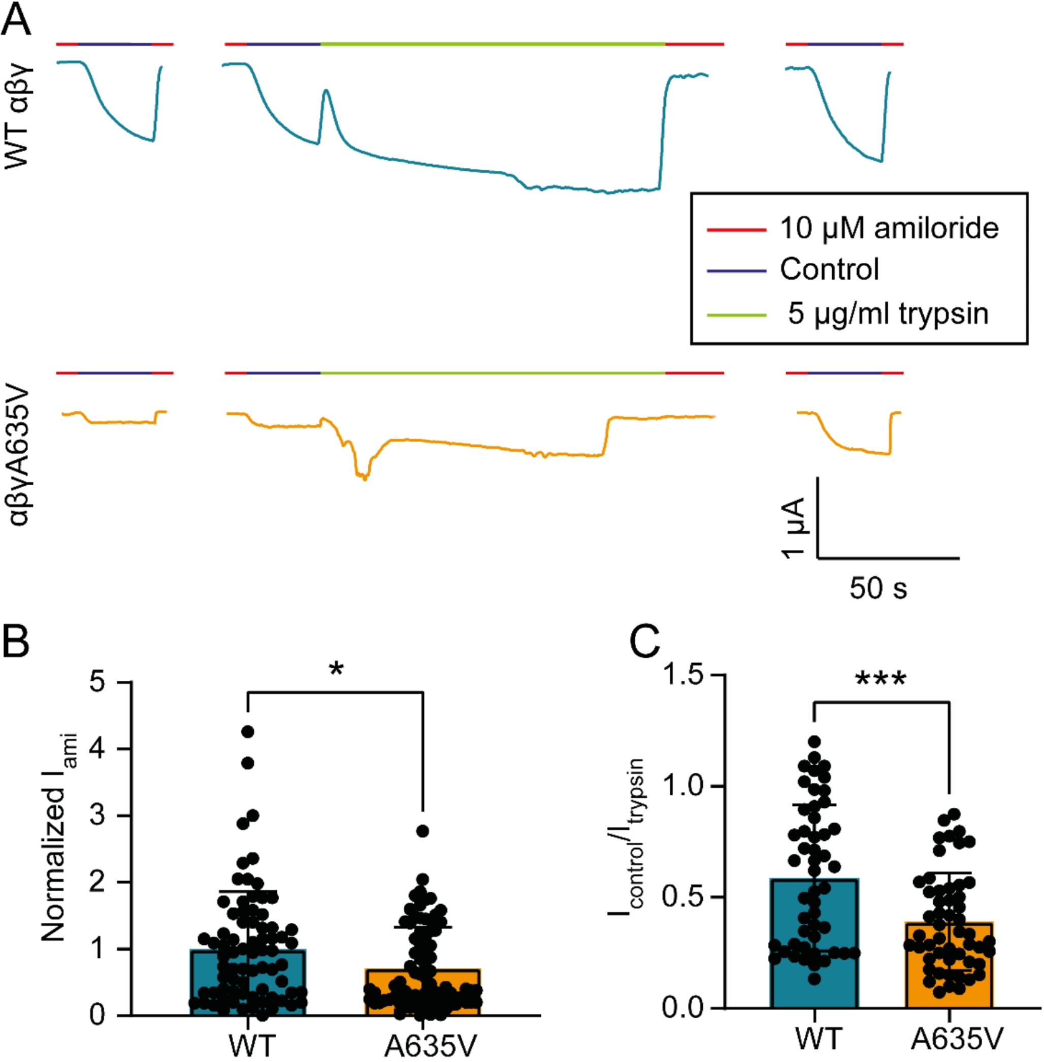 Functional properties of the γ-ENaC-A635V mutation in a patient with severe hyponatremia
