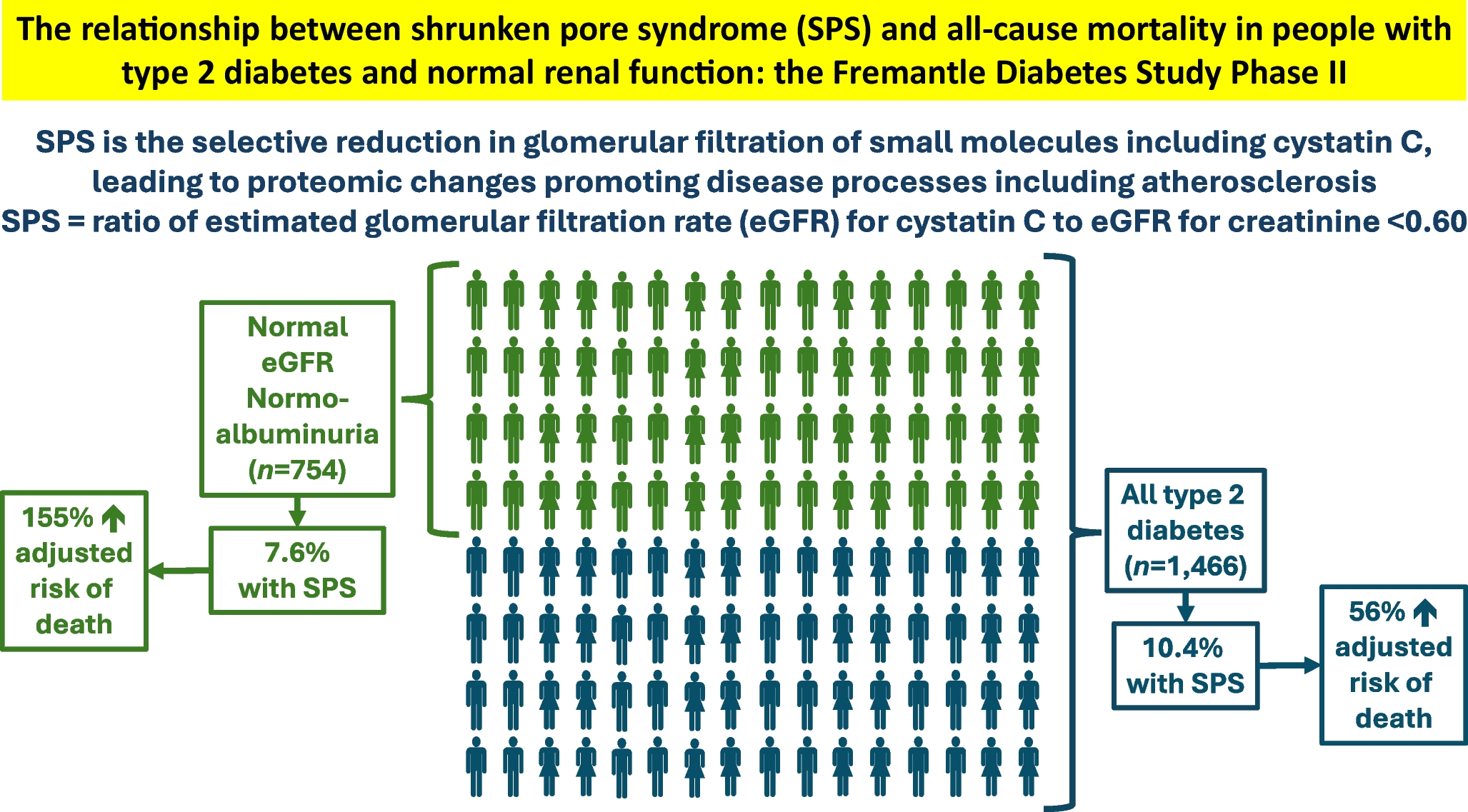 The relationship between shrunken pore syndrome and all-cause mortality in people with type 2 diabetes and normal renal function: the Fremantle Diabetes Study Phase II