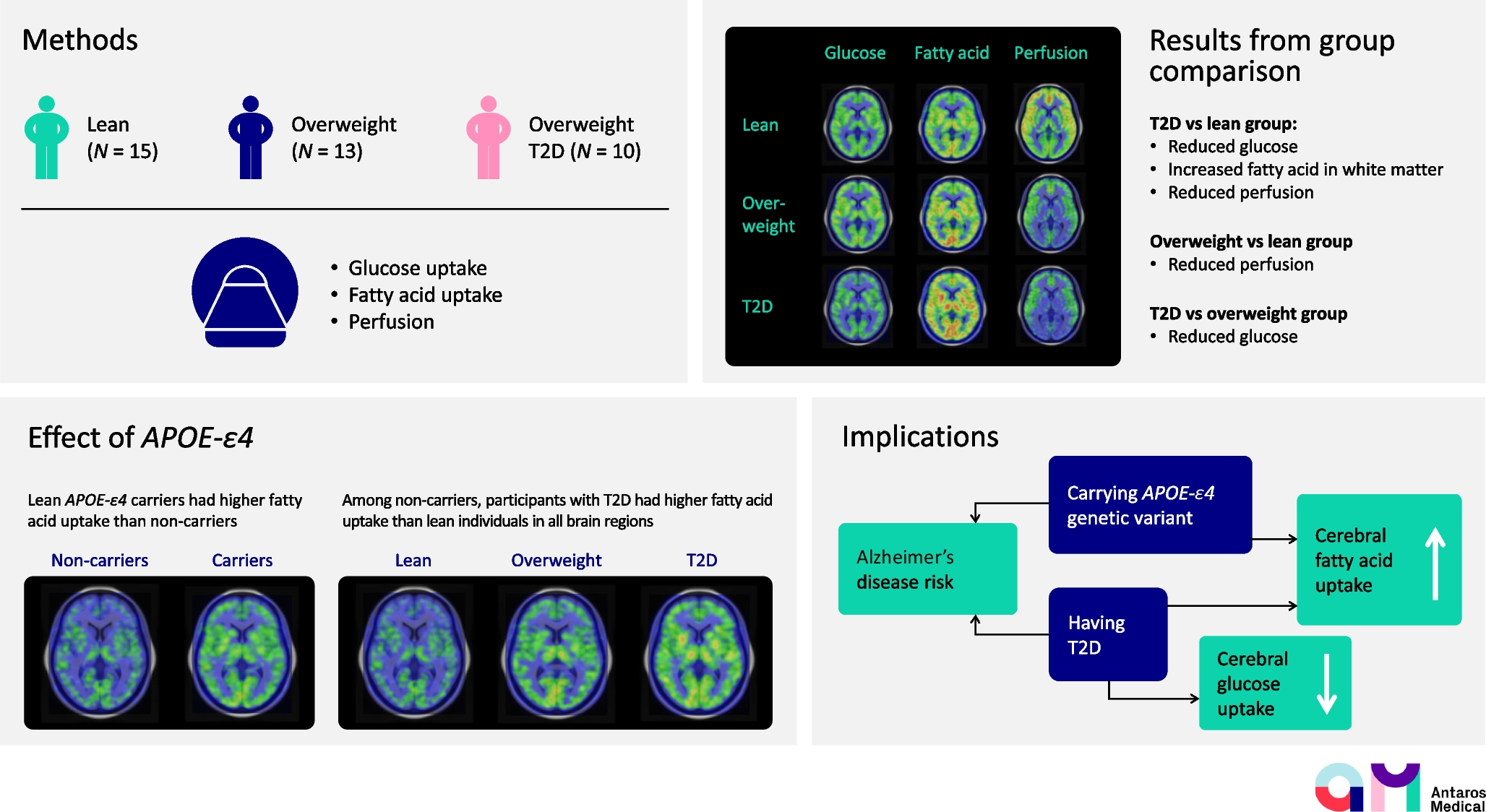Alterations in cerebral perfusion and substrate metabolism in type 2 diabetes: interactions with -ε4