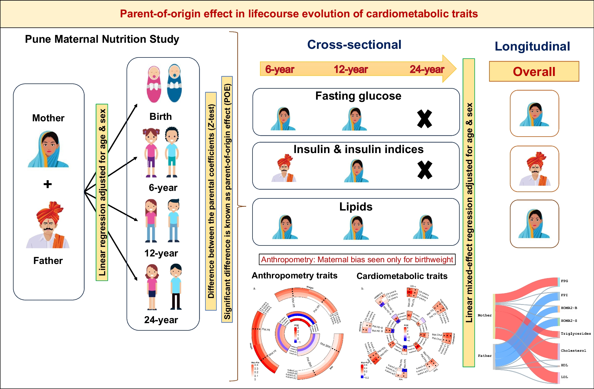 Parent-of-origin effects in the life-course evolution of cardiometabolic traits