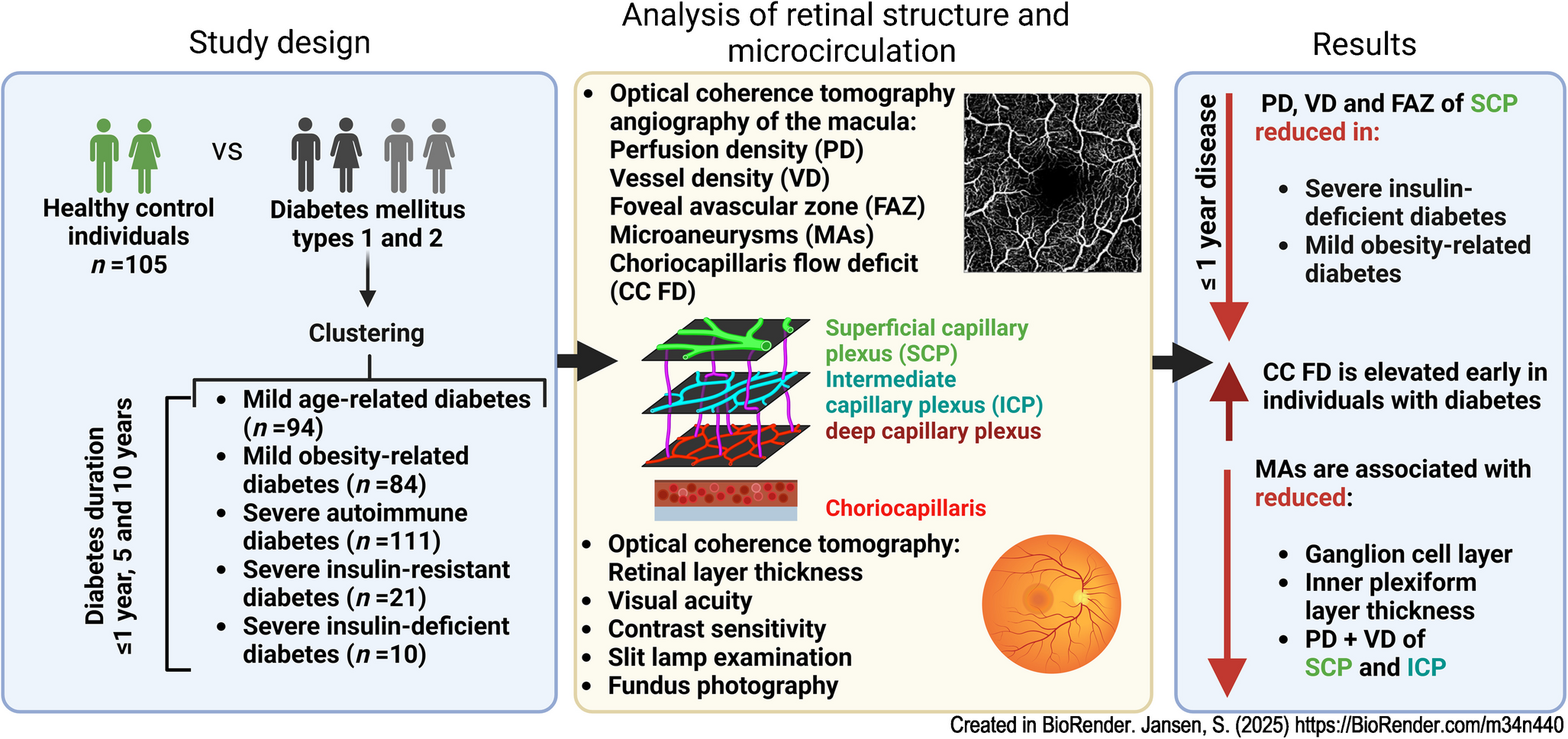 Macular perfusion alterations in people with recent-onset diabetes and novel diabetes subtypes