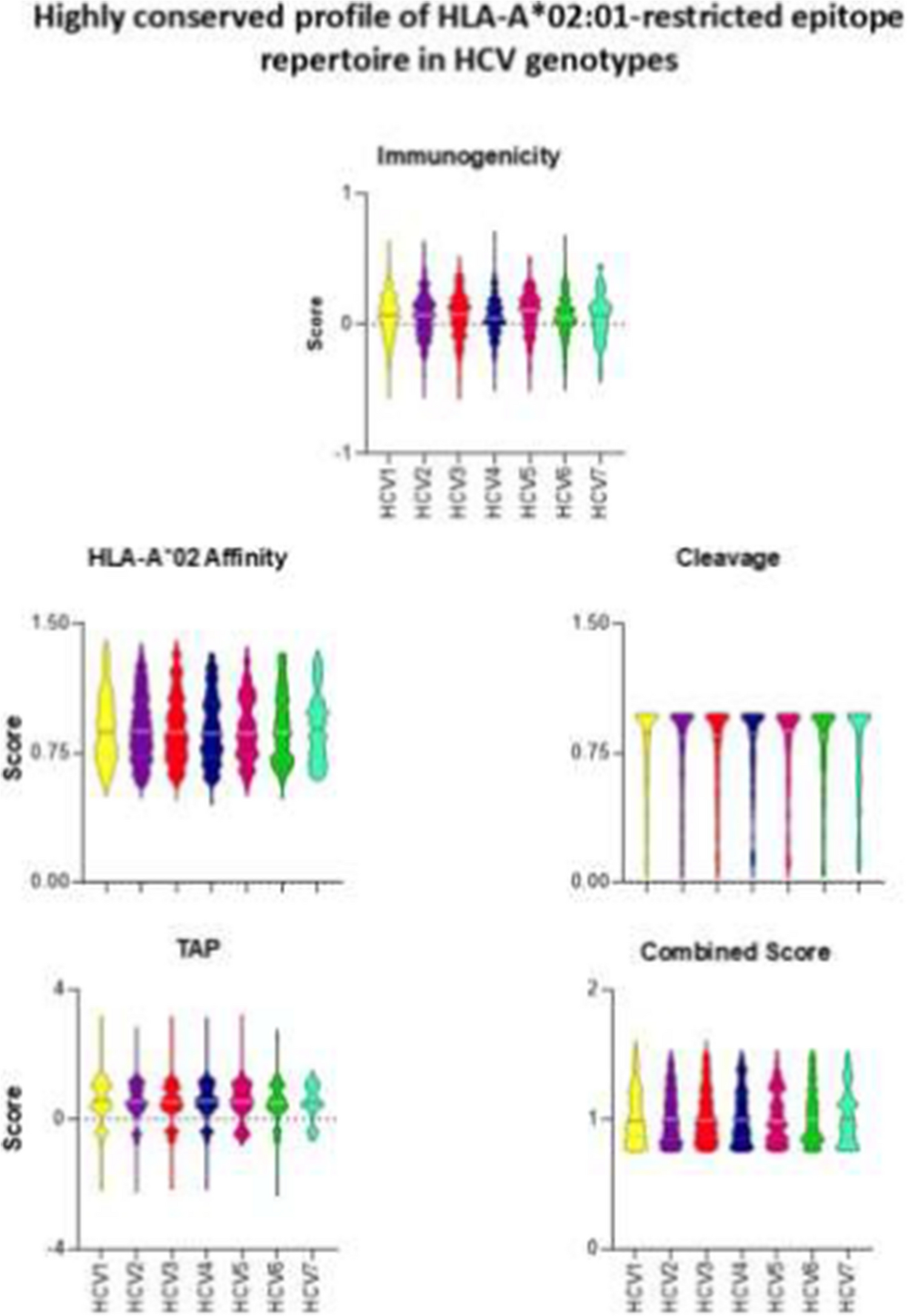 Correction to: HCV immunodominant peptide mapping reveals unique HLA‑A* 02‑restricted signatures: insights for CD8 T‑cell‑based vaccines and immunotherapies