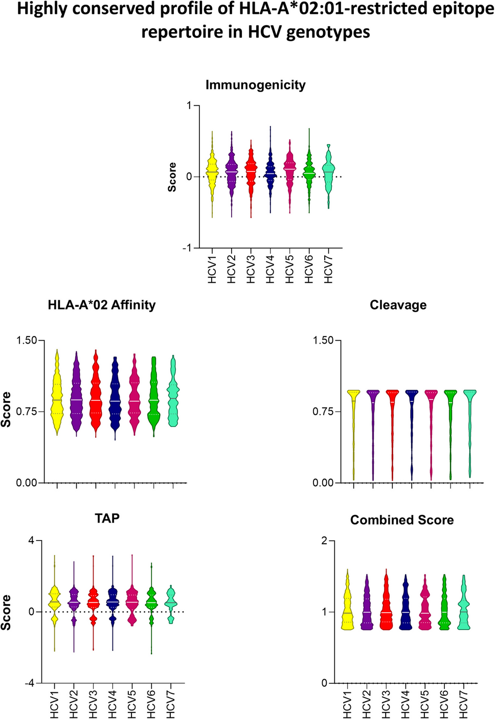 HCV immunodominant peptide mapping reveals unique HLA-A*02-restricted signatures: insights for CD8 T-cell-based vaccines and immunotherapies