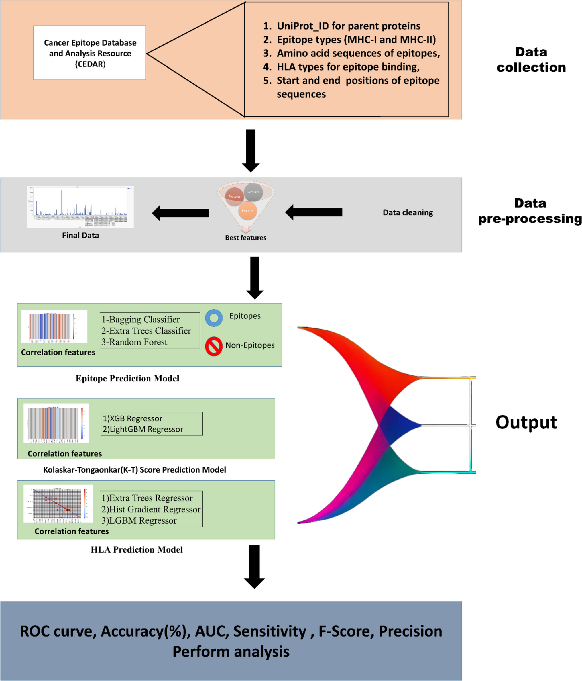 VaxOptiML: leveraging machine learning for accurate prediction of MHC-I and II epitopes for optimized cancer immunotherapy