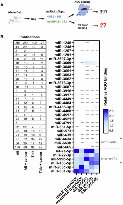 Chasing non-existent “microRNAs” in cancer