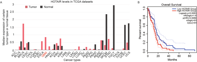 A HOTAIR-associated super-enhancer orchestrates glioblastoma malignancy via MEST