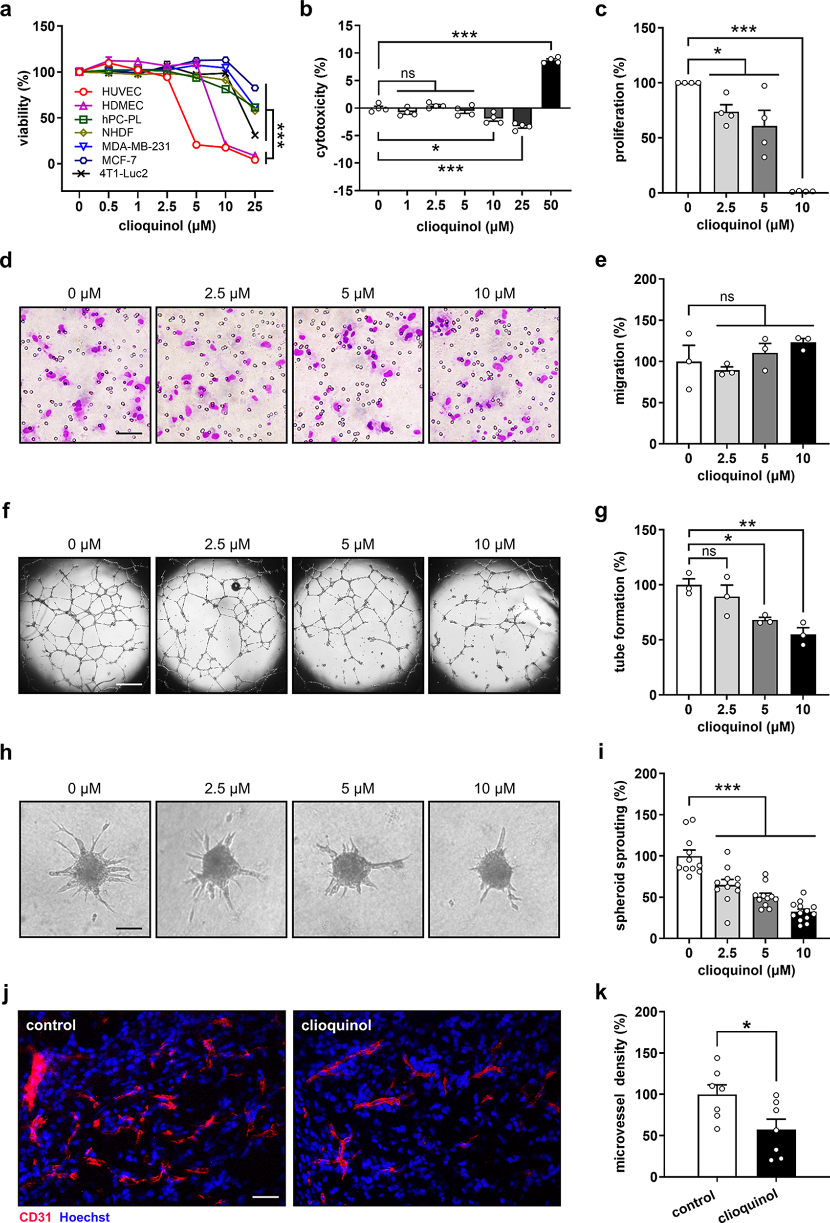 Clioquinol inhibits angiogenesis by promoting VEGFR2 degradation and synergizes with AKT inhibition to suppress triple-negative breast cancer vascularization