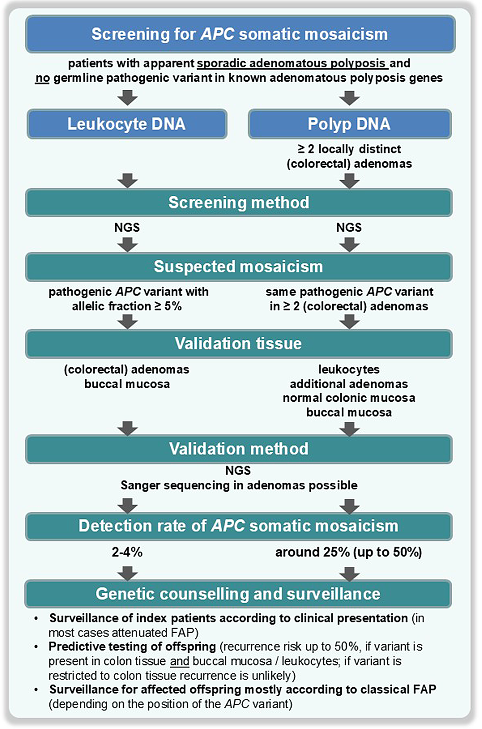 A review of  somatic mosaicism and specific  variants - I1307K and promotor variants