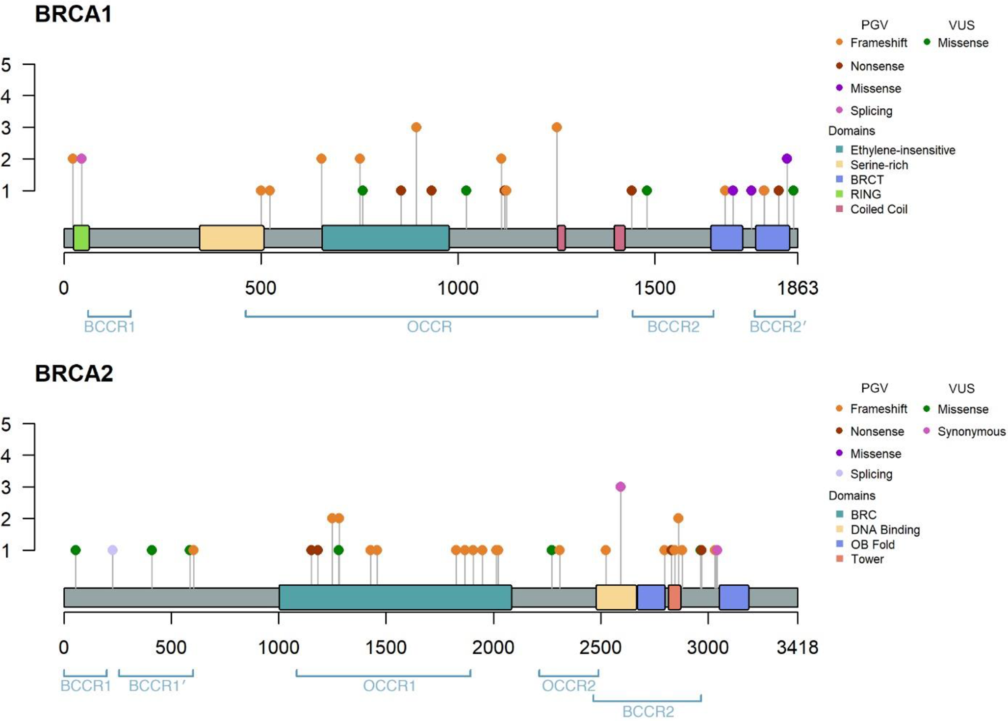 The patterns and spectrum of  and  mutations in Iranian breast and ovarian cancer patients