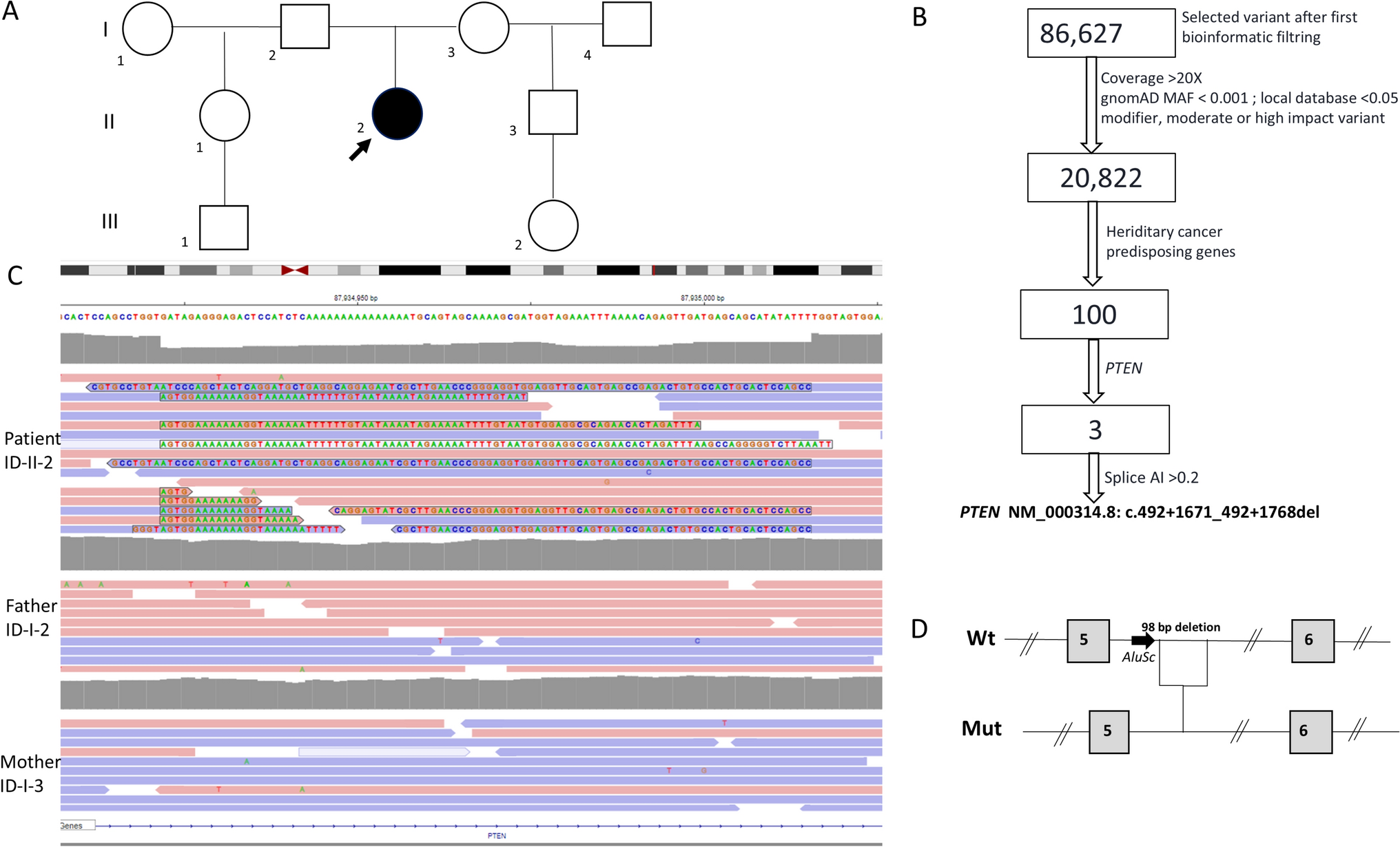 Identification of a germline deep intronic -deletion leading to exonization through whole genome and targeted RNA sequencing