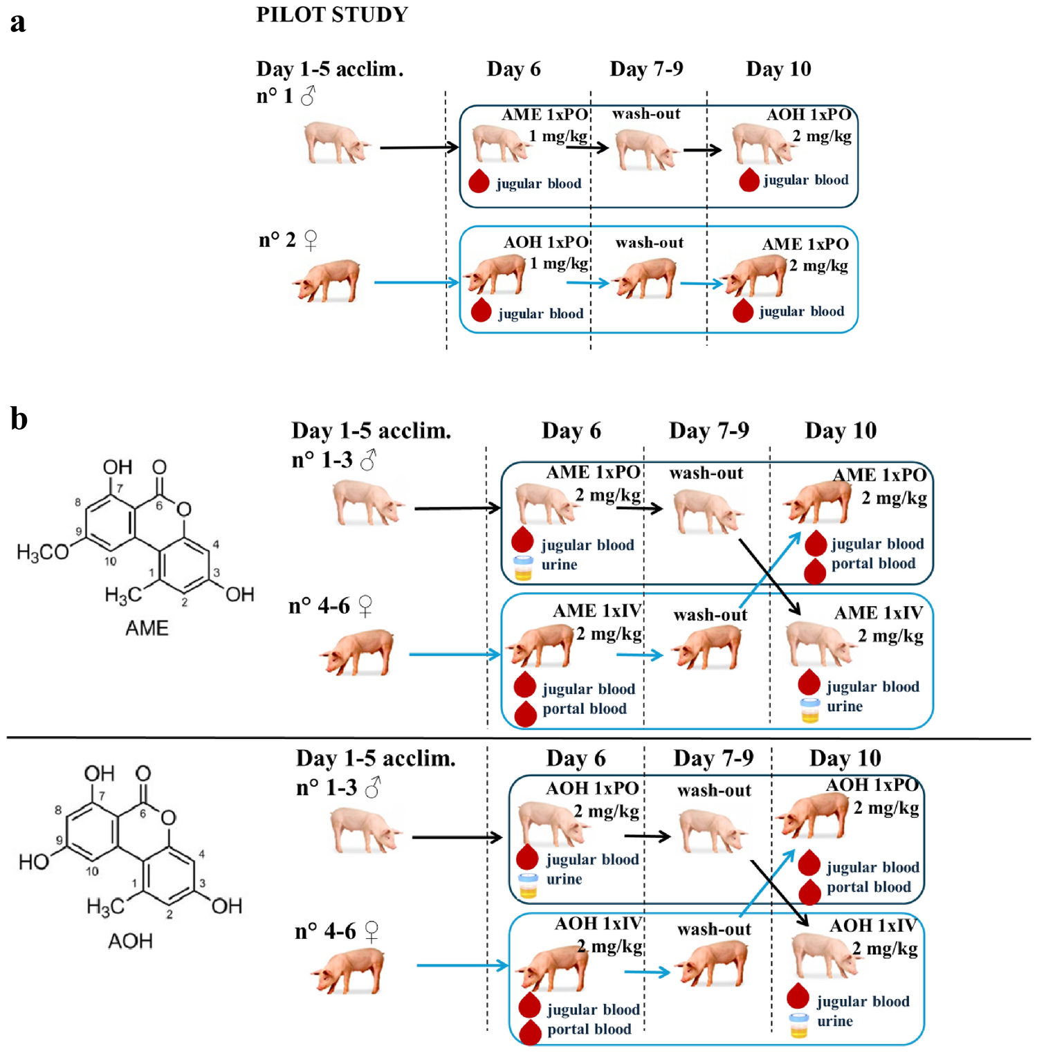 Absolute oral bioavailability, quantitative toxicokinetics and metabolite profiling of alternariol and alternariol monomethyl ether in pigs