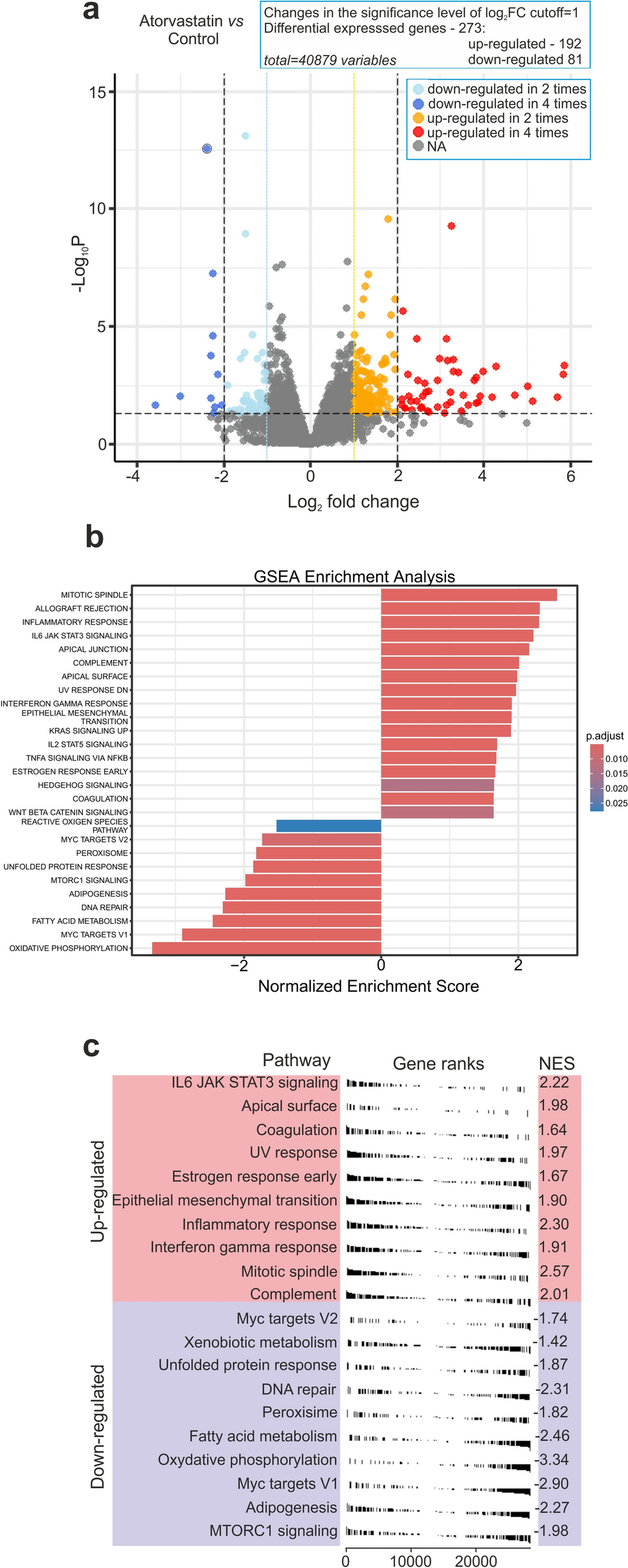 Key genes and processes affected by atorvastatin treatment in mouse diaphragm muscle