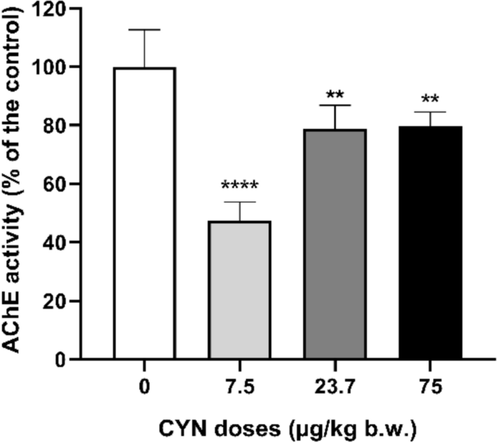 Alterations in acetylcholinesterase activity and oxidative stress parameters induced by pure cylindrospermopsin in brain of orally exposed rats and determination of potential metabolites