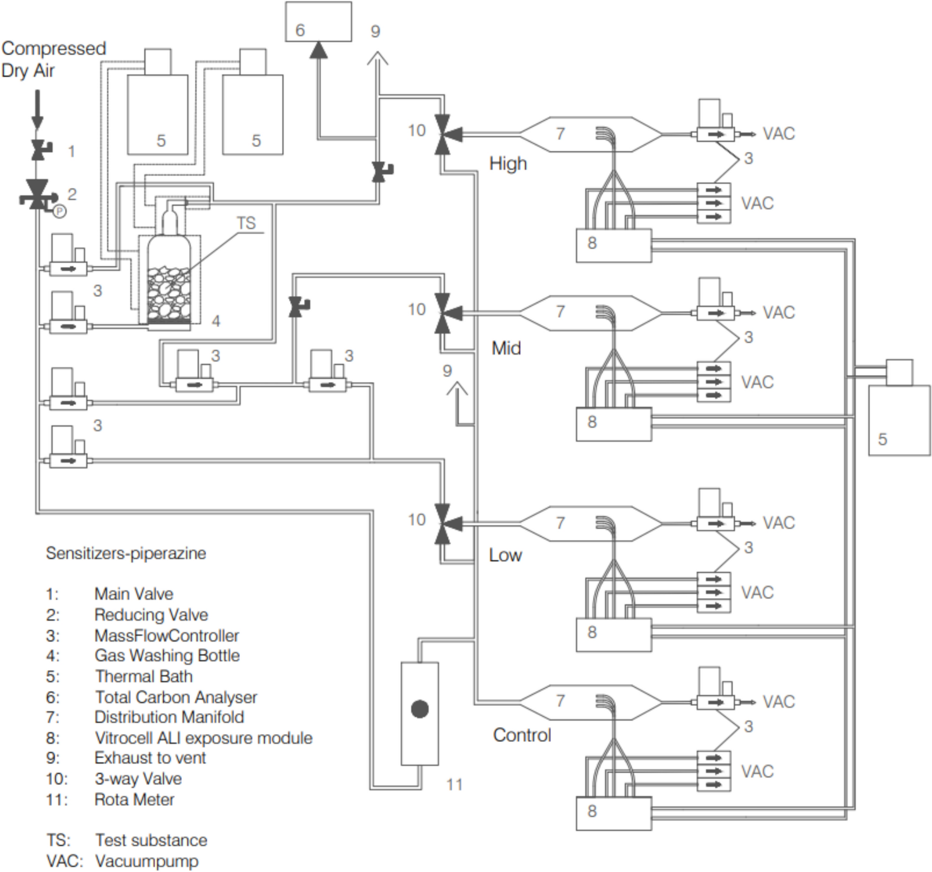 Towards prospective identification of respiratory sensitizers: effects of piperazine, chloramine-T, and toluene-diisocyanate in an air–liquid interface model comprising human bronchial epithelial cells