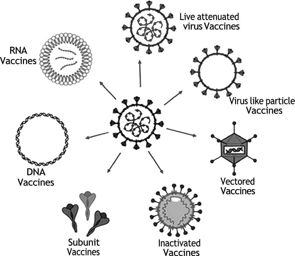 Abstracts of the papers presented in the international conference of Indian Virological Society, VIROCON 2024 on “Emerging viruses: pandemic and biosecurity perspectives” held during 11–13 November, 2024 at Defence Research and Development Establishment (DRDE), DRDO, Ministry of Defence, Gwalior, India