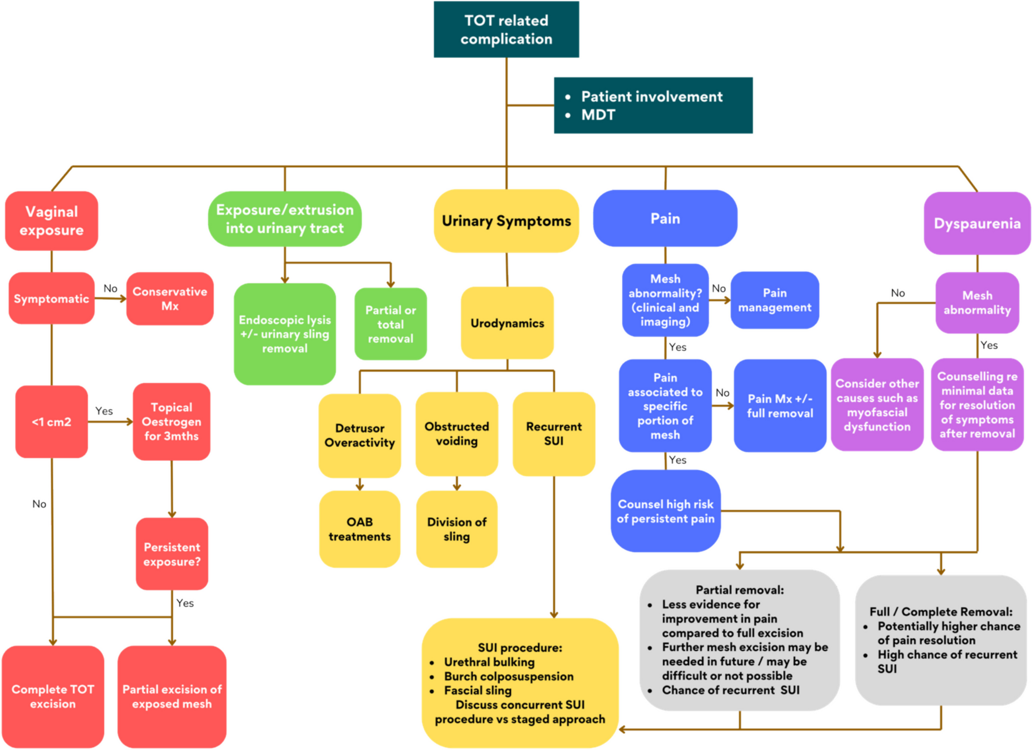 Pre-operative Evaluation Before TOT Removal for Pain