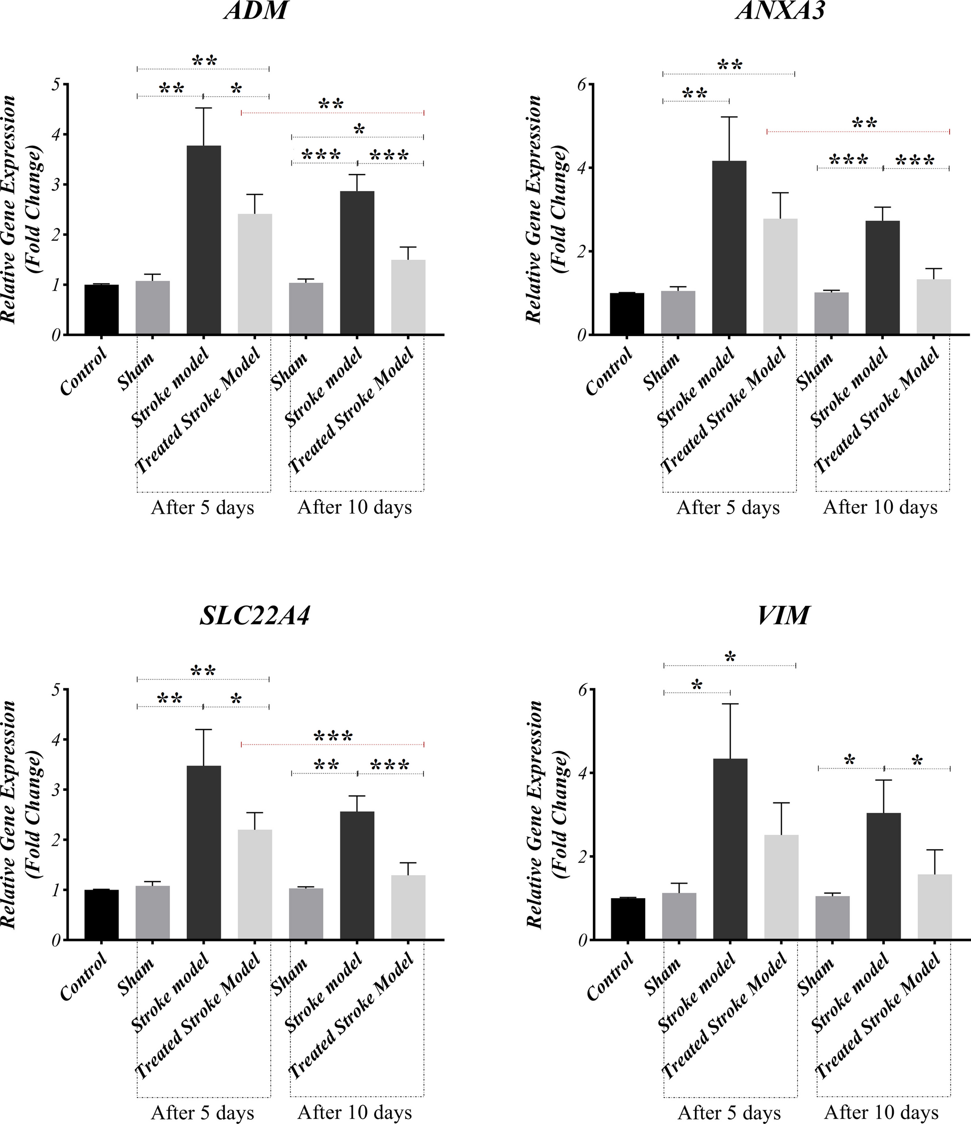 The effect of anti-CD20 on inflammation and histopathological alternations in rat photothrombotic ischemic stroke model