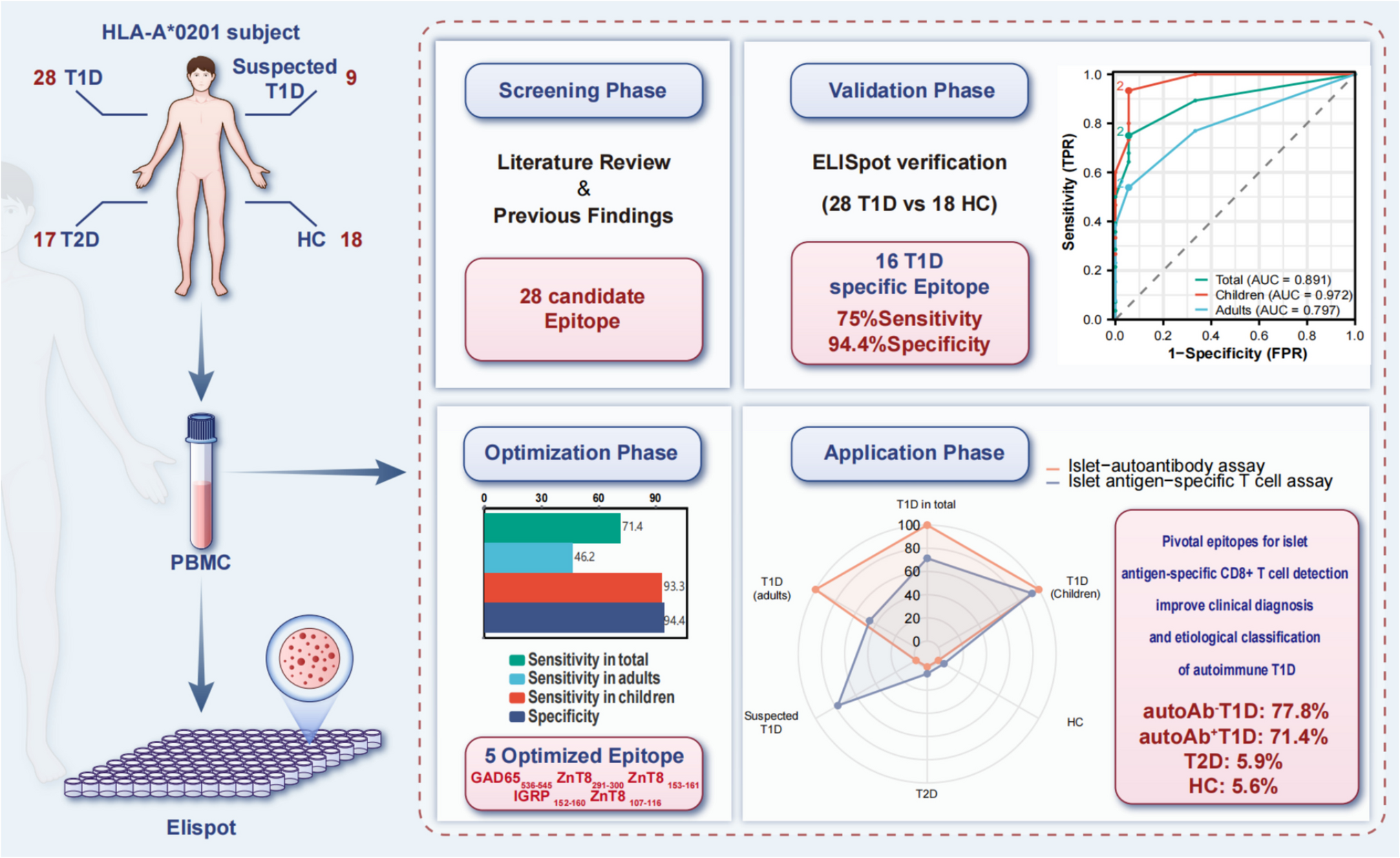 Pivotal epitopes for islet antigen-specific CD8 T cell detection improve classification of suspected type 1 diabetes with the HLA-A*0201 allele