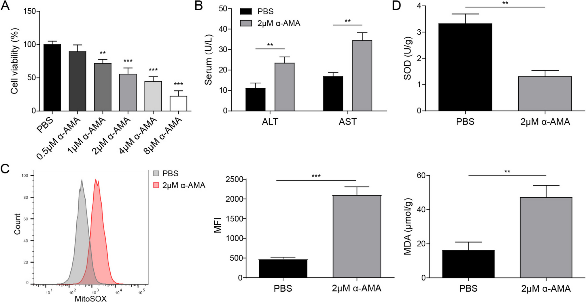 α-Amanitin aggravates hepatic injury by activating oxidative stress and mitophagy via peroxiredoxin 6 inhibition